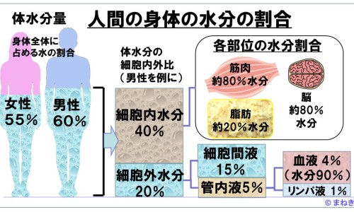 中药雄黄价格-中药雄黄治疗那网-分享雄黄可以用来治疗，雄黄可以做药吗有毒吗知识库